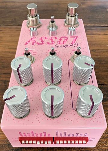 various-Chase Bliss Goodhertz Lossy pedal